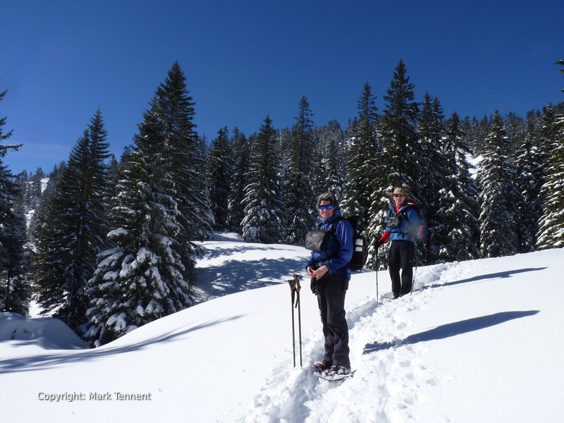 Snowshoe Walking in the sunshine - Chartreuse