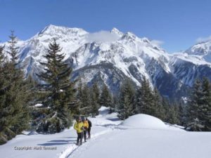 Snowshoe Walking in the Vanoise