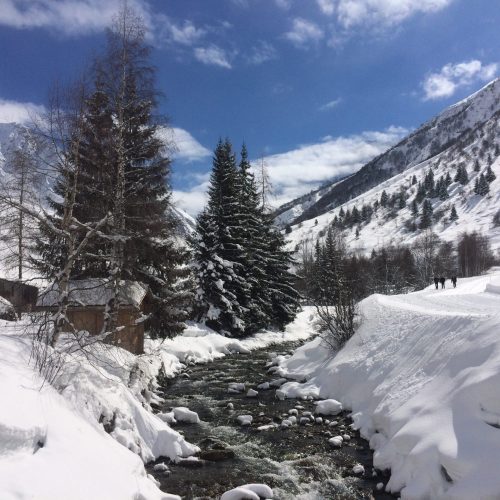 Full Day Snowshoe